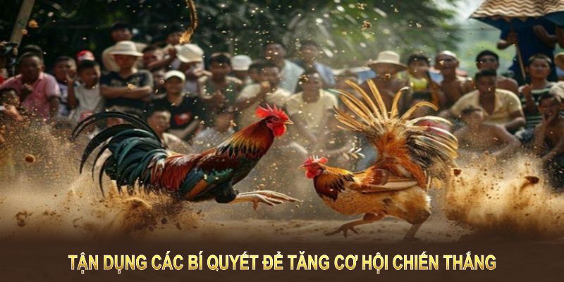 Tận dụng các bí quyết để tăng cơ hội chiến thắng trong mỗi trận đấu